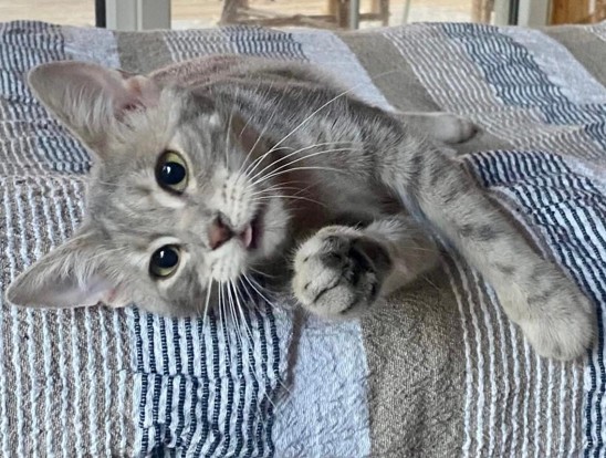 Suzie